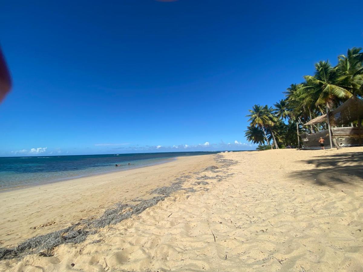 Las Terrenas Beachfront 2 Bedrooms Condo With Pool Exterior photo